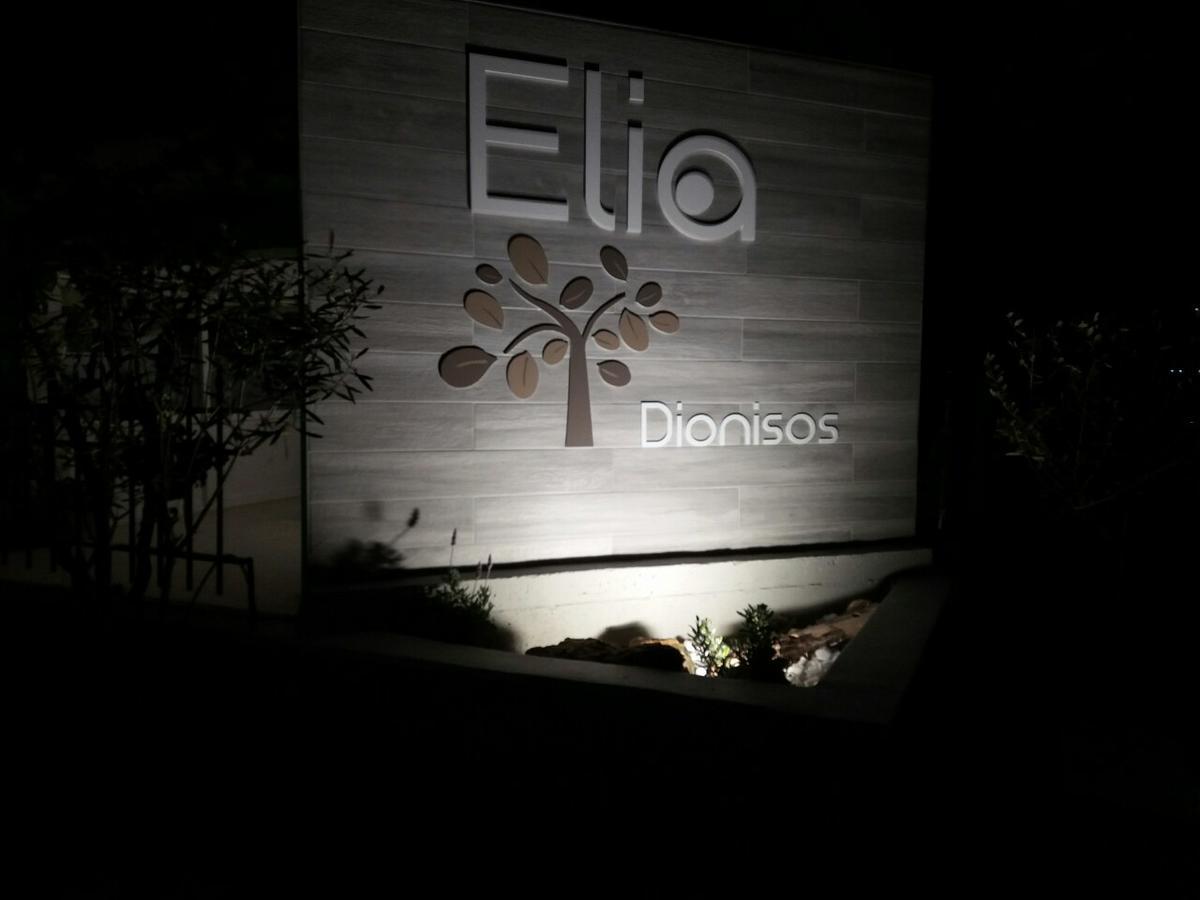 Dionisos Elia Aparthotel ปาลาเรีย ดิโอนิซีอู ภายนอก รูปภาพ